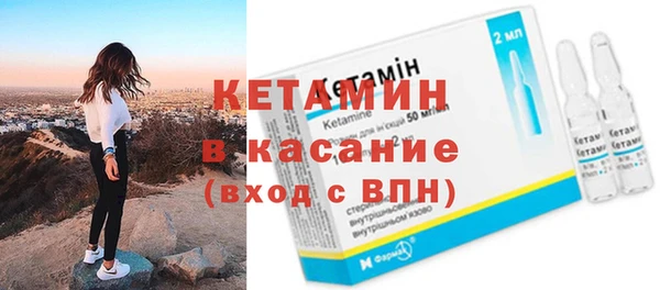 твердый Бородино