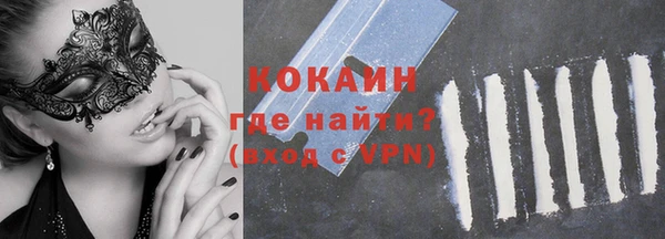 твердый Бородино