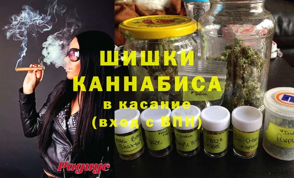 твердый Бородино