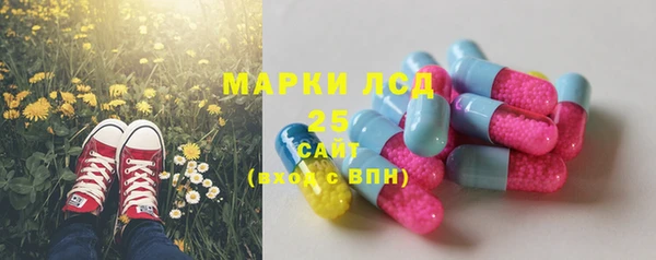 твердый Бородино