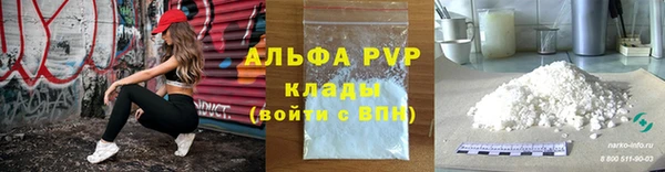 твердый Бородино
