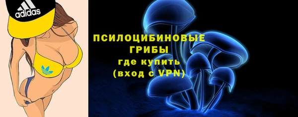 твердый Бородино