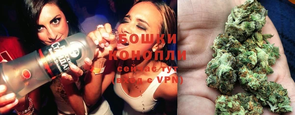 винт Бронницы