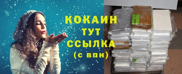 твердый Бородино