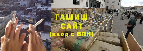твердый Бородино
