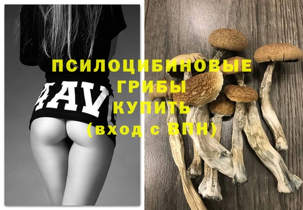 твердый Бородино