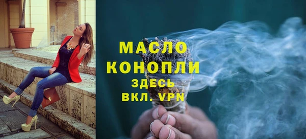 твердый Бородино