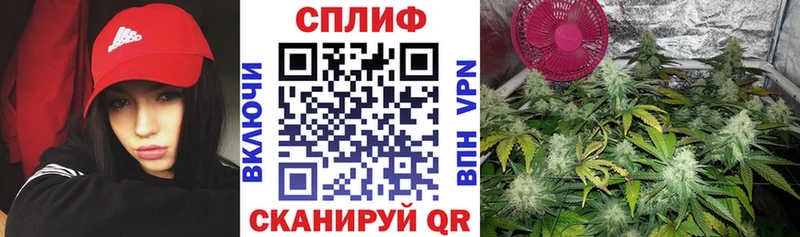 Купить  Туран  Канабис сатива 